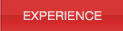 Experience